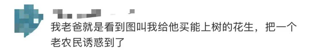 “花生上树”？良品铺子道歉
