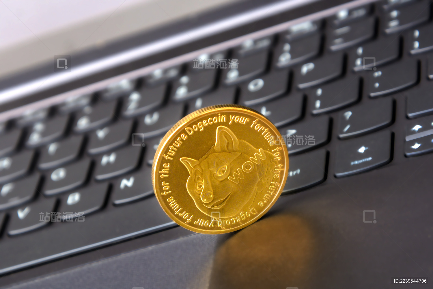 goubi(狗币的今日价格)