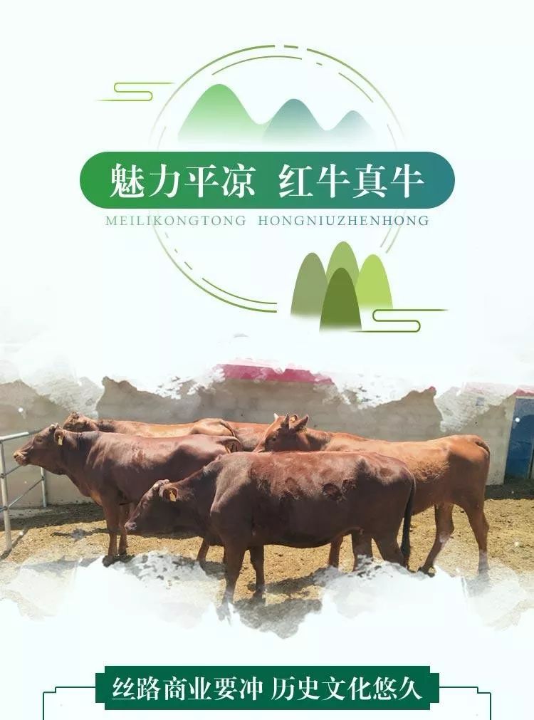 红牛交易所(红牛交易所app下载) 红牛交易所(红牛交易所app下载)