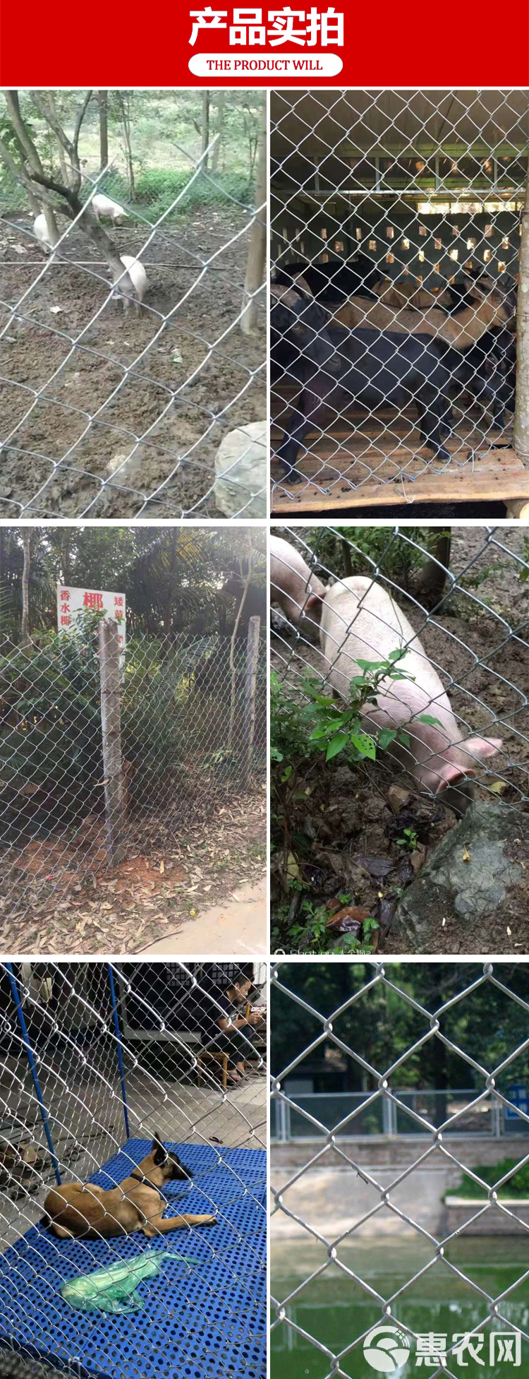 鹿网(鹿网名取什么好听女生)