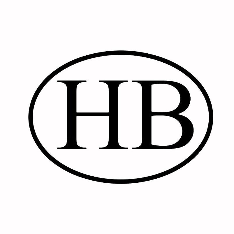 HB(黑帮大佬爱上我第二集完整版)