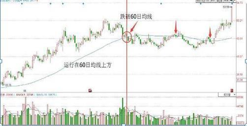小天鹅股票(小天鹅股票股吧)