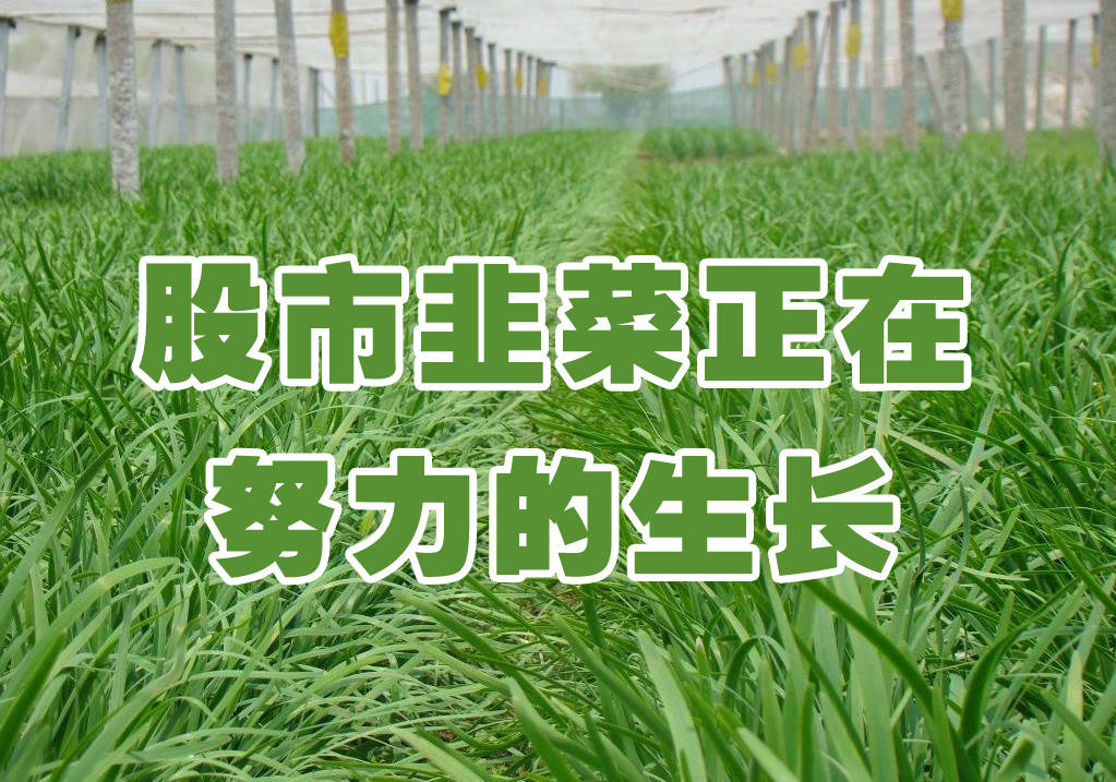 股票绿色(股票绿色是涨吗)