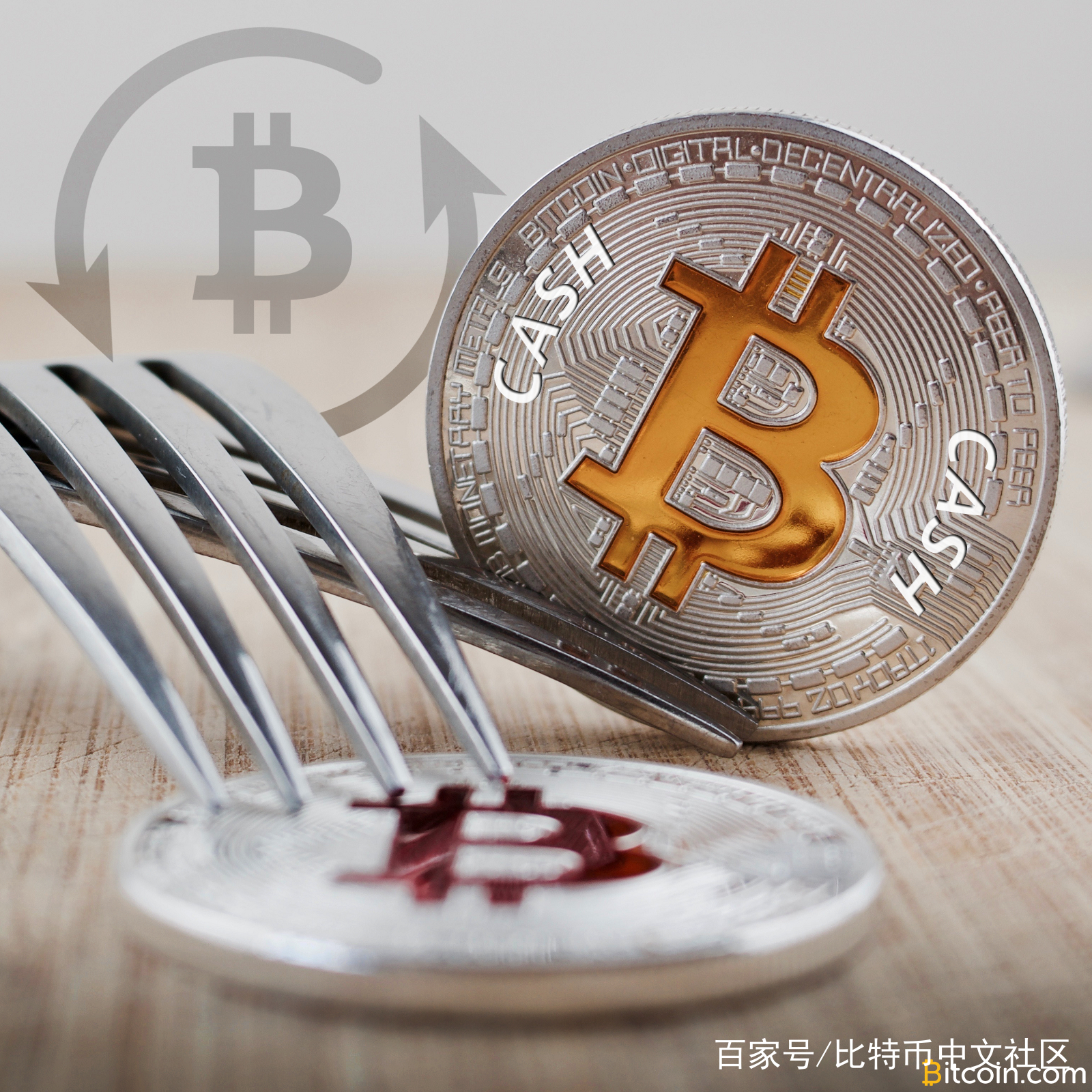 关于BCH-比特现金交易所投资的信息