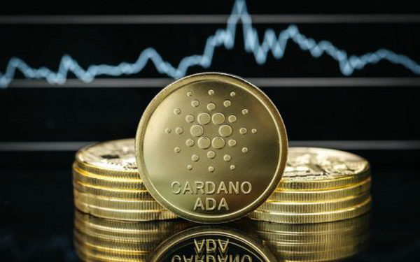 ADA交易所投资(ada在哪个交易平台)