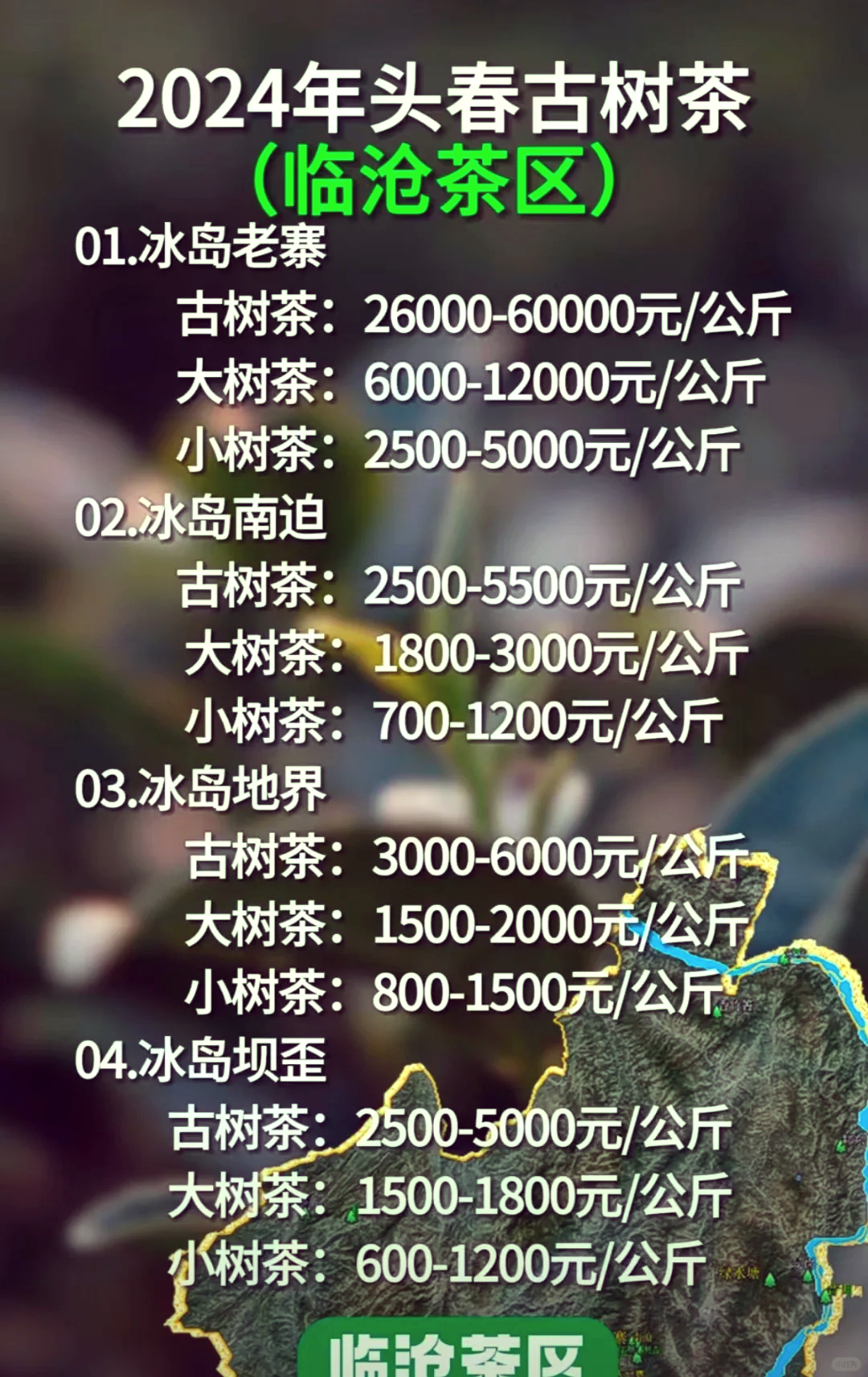 抹茶行情(抹茶价格今日行情)